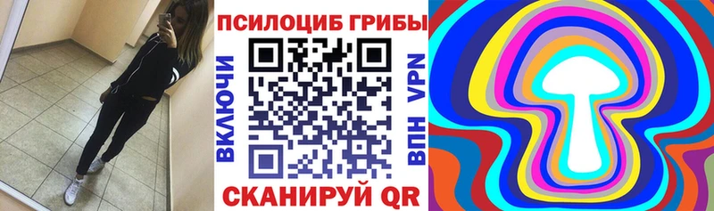Псилоцибиновые грибы Cubensis  Сковородино 