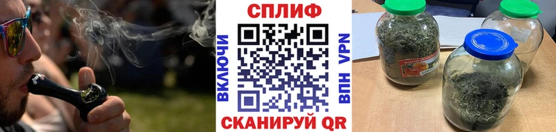 Бошки Шишки VHQ  Сковородино 